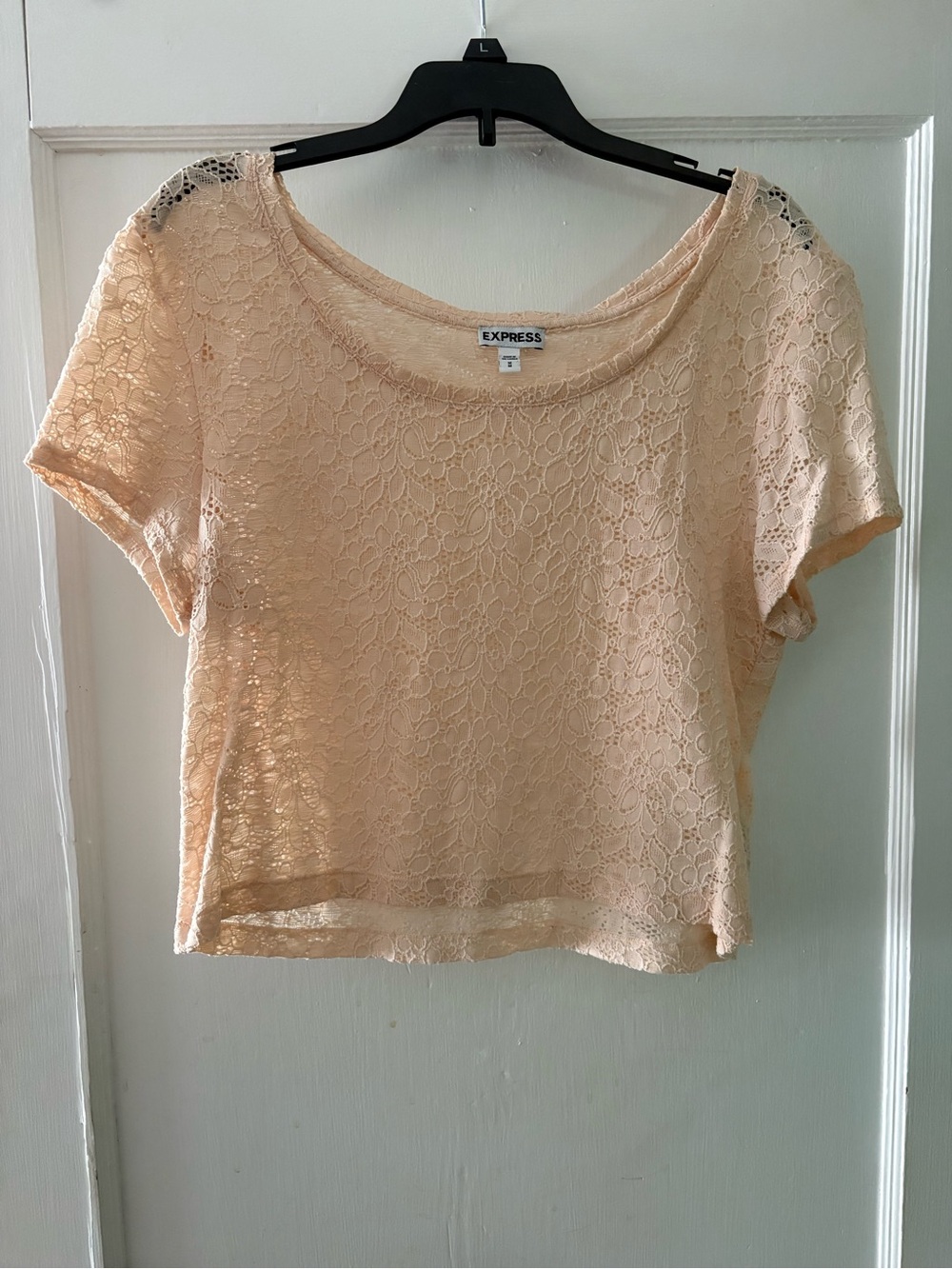 Express Blush Lace Short Sleeve Crop Top